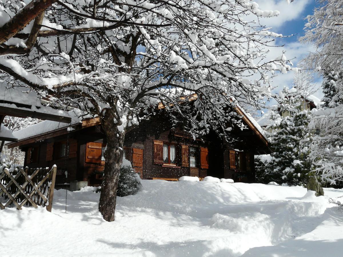 Chalet Des Glaciers Шамони Екстериор снимка